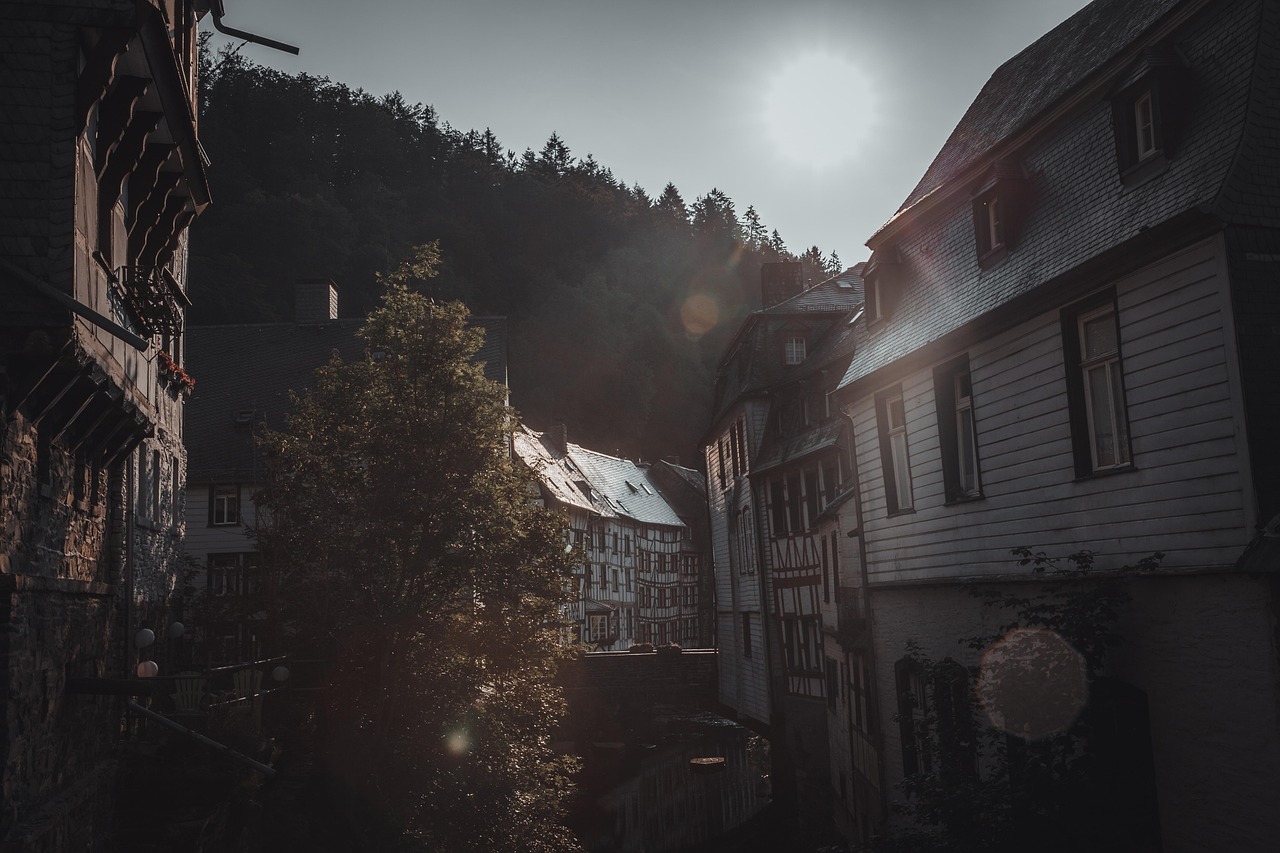 alley nature alleyway germany architecture old town monschau water river